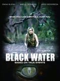 Affiche de Black Water, film à voir en streaming sur Pygargue