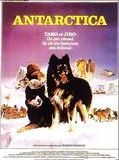 Affiche de Antarctica, film à voir en streaming sur Pygargue