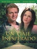 Affiche de L'Amour d'une mère, film à voir en streaming sur Pygargue