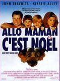 Affiche de Allo maman c'est Noël, film à voir en streaming sur Pygargue