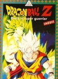 Affiche de Dragon Ball Z : Broly, le super guerrier, film à voir en streaming sur Pygargue
