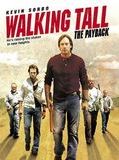 Affiche de Tolérance zéro 2, film à voir en streaming sur Pygargue