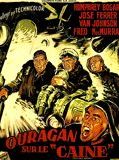 Affiche de Ouragan sur le Caine, film à voir en streaming sur Pygargue