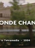 Affiche de Seconde chance, film à voir en streaming sur Pygargue