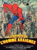 Affiche de La Riposte de l'homme-araignée, film à voir en streaming sur Pygargue