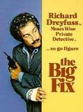 Affiche de The Big Fix, film à voir en streaming sur Pygargue