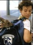 Affiche de Joey, film à voir en streaming sur Pygargue