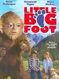 Affiche de La Légende de Bigfoot, film à voir en streaming sur Pygargue