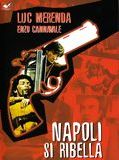Affiche de Calibre magnum pour l'inspecteur, film à voir en streaming sur Pygargue