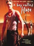 Affiche de A Boy Called Hate, film à voir en streaming sur Pygargue