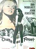 Affiche de La Chatte au fouet, film à voir en streaming sur Pygargue