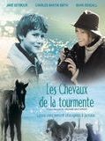 Affiche de Touching Wild Horses, film à voir en streaming sur Pygargue