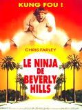 Affiche de Le Ninja de Beverly Hills, film à voir en streaming sur Pygargue