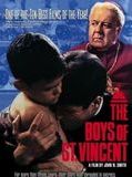 Affiche de Les Garçons de Saint Vincent, film à voir en streaming sur Pygargue