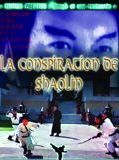 Affiche de La Conspiration de Shaolin, film à voir en streaming sur Pygargue