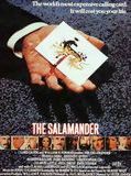 Affiche de La Salamandre, film à voir en streaming sur Pygargue