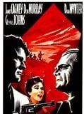 Affiche de L'Epopée dans l'ombre, film à voir en streaming sur Pygargue