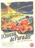 Affiche de L'Oiseau de Paradis, film à voir en streaming sur Pygargue