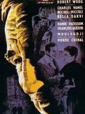 Affiche de Rafles sur la ville, film à voir en streaming sur Pygargue