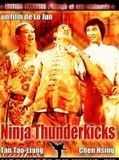 Affiche de Ninjas Thunderkicks, film à voir en streaming sur Pygargue