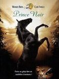 Affiche de Prince Noir, film à voir en streaming sur Pygargue