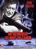 Affiche de Un silencieux au bout du canon, film à voir en streaming sur Pygargue