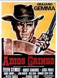 Affiche de Adios Gringo, film à voir en streaming sur Pygargue