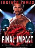 Affiche de Final Impact, film à voir en streaming sur Pygargue