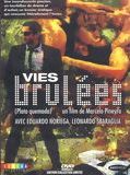 Affiche de Vies brûlées, film à voir en streaming sur Pygargue