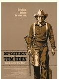 Affiche de Tom Horn, sa véritable histoire, film à voir en streaming sur Pygargue