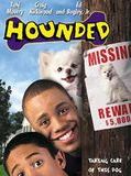 Affiche de Un chien envahissant, film à voir en streaming sur Pygargue