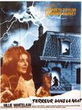 Affiche de Terreur dans la nuit, film à voir en streaming sur Pygargue