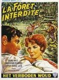 Affiche de La Foret interdite, film à voir en streaming sur Pygargue