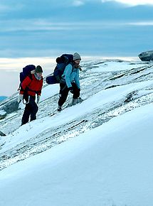 Affiche de The Mountain, film à voir en streaming sur Pygargue
