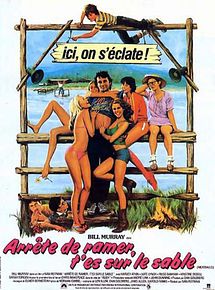 Affiche de Arrête de ramer, t'es sur le sable, film à voir en streaming sur Pygargue