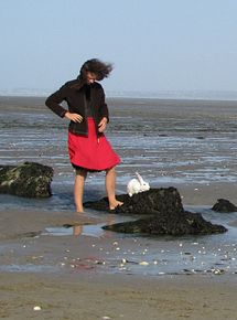 Affiche de La belle journée, film à voir en streaming sur Pygargue