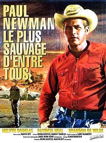 Affiche de Le Plus sauvage d'entre tous, film à voir en streaming sur Pygargue