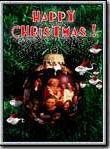Affiche de Happy Christmas !, film à voir en streaming sur Pygargue