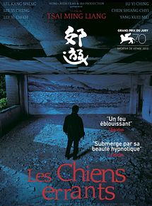 Affiche de Les Chiens errants, film à voir en streaming sur Pygargue