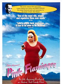 Affiche de Pink Flamingos, film à voir en streaming sur Pygargue