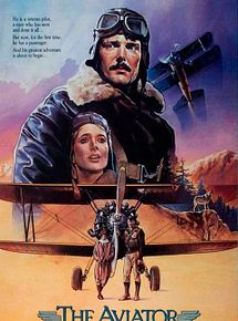 Affiche de Vol d'enfer, film à voir en streaming sur Pygargue