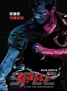 Affiche de Kill Zone 2, film à voir en streaming sur Pygargue