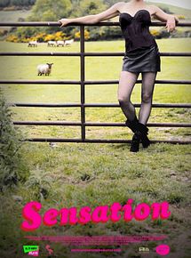 Affiche de Sensation, film à voir en streaming sur Pygargue
