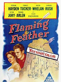 Affiche de Les Flèches brûlées, film à voir en streaming sur Pygargue