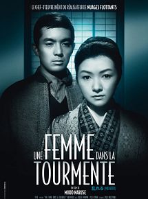 Affiche de Une femme dans la tourmente, film à voir en streaming sur Pygargue