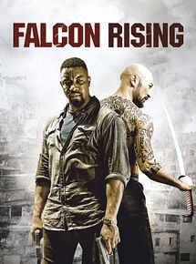 Affiche de Falcon Rising, film à voir en streaming sur Pygargue