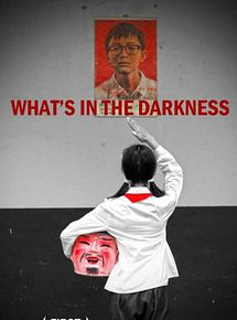 Affiche de What’s in the Darkness, film à voir en streaming sur Pygargue