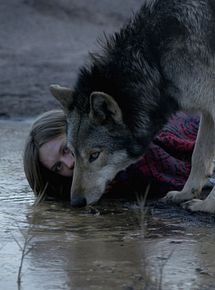 Affiche de Wild, film à voir en streaming sur Pygargue