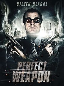 Affiche de The Perfect Weapon, film à voir en streaming sur Pygargue