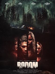 Affiche de Lake Bodom, film à voir en streaming sur Pygargue